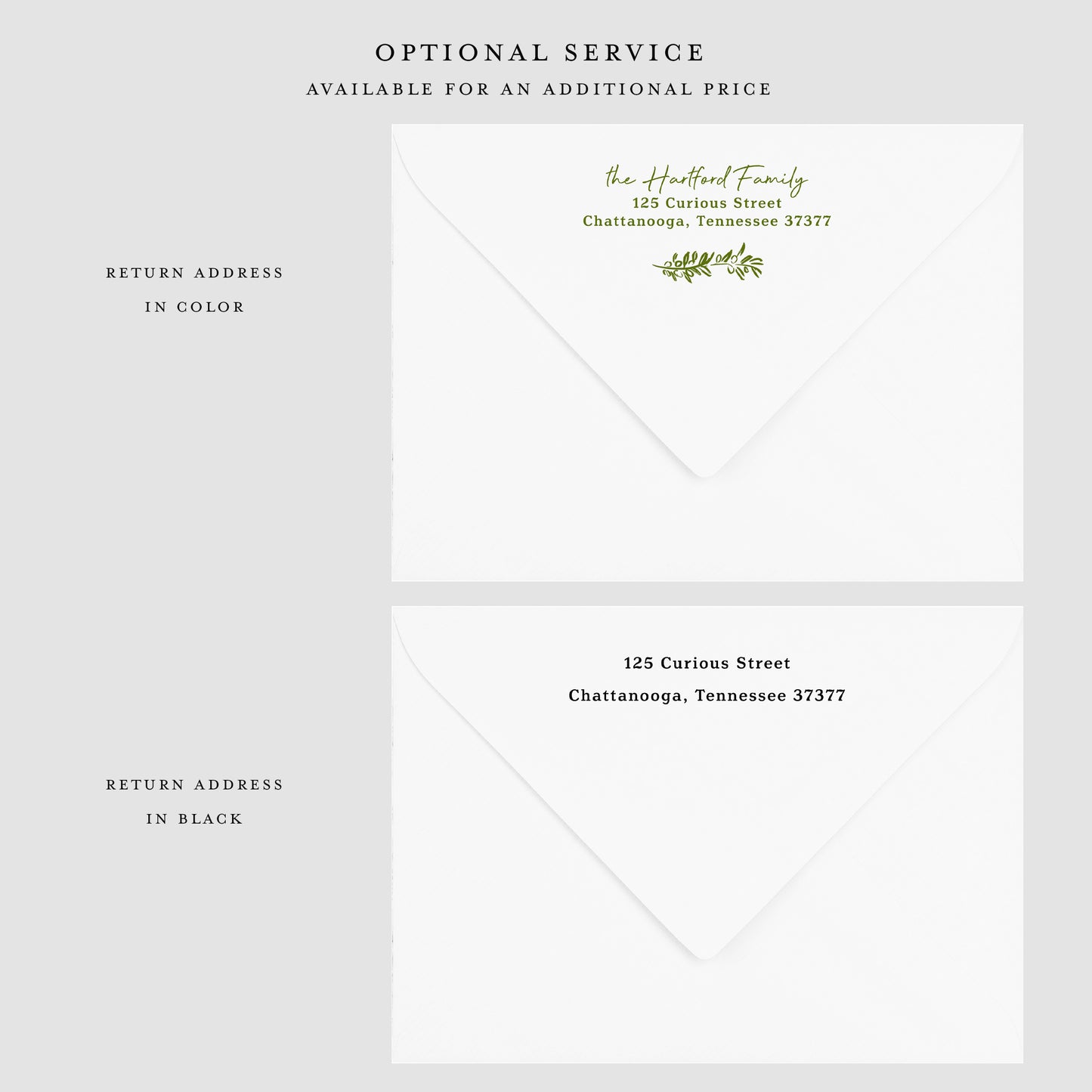 Olive Swatch Border