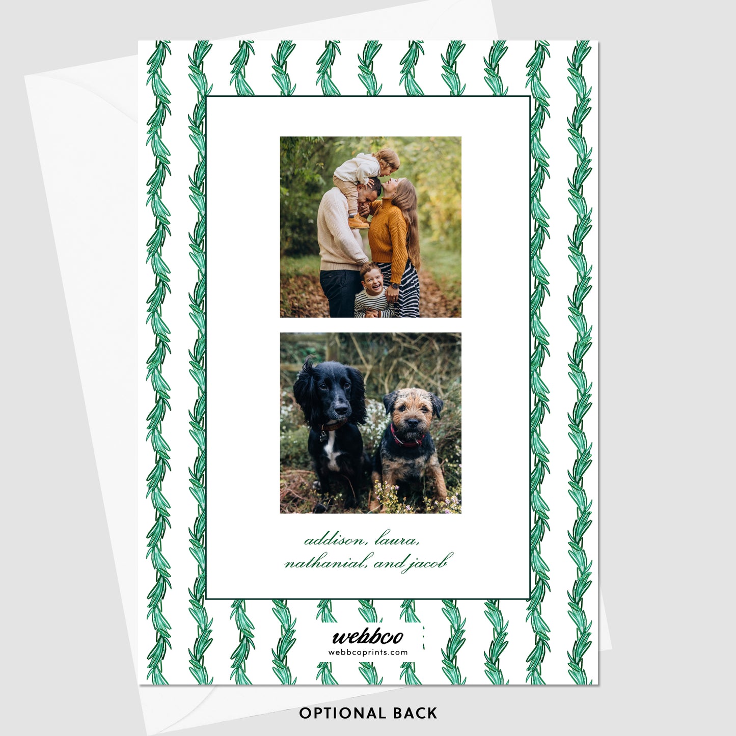 Pine Sway Border