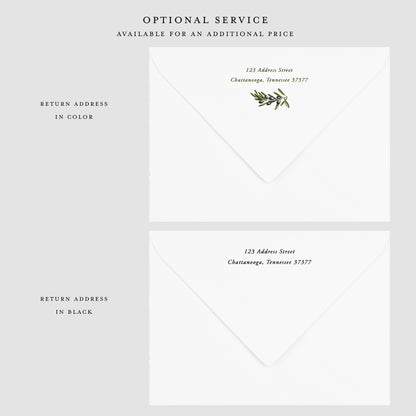 Olive Wrapping