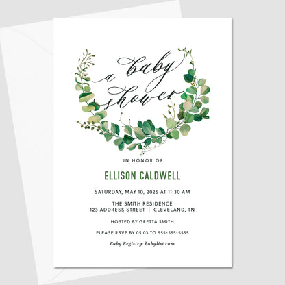 Eucalyptus Laurel